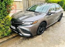 تويوتا كامري